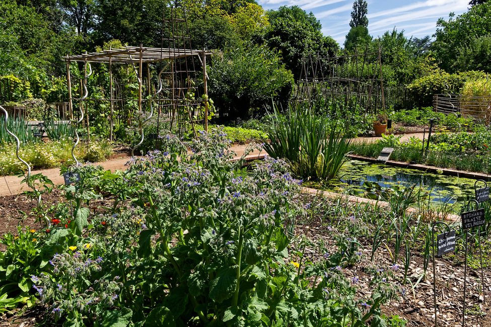 Parc Floral de La Source