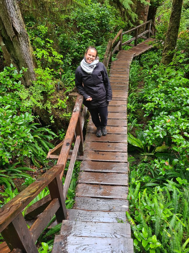 Forest Trail