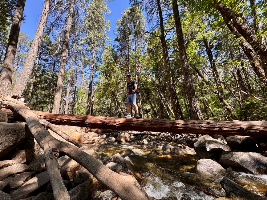 Bridalveil Fall, Tioga Pass & Geisterstadt Bodie
