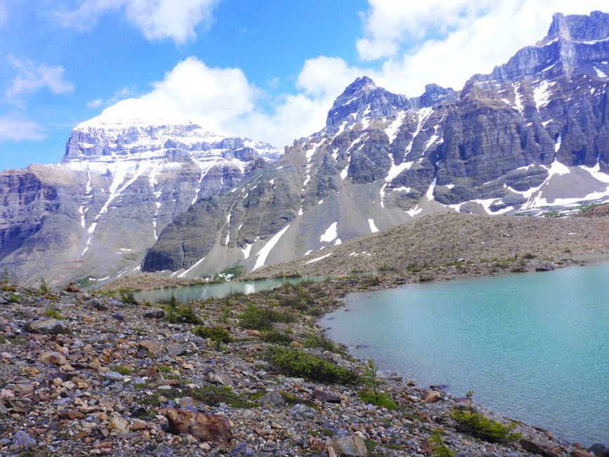 2025-06-19 sur l'Icefields Parkway de Jasper à Lake Louise, CA