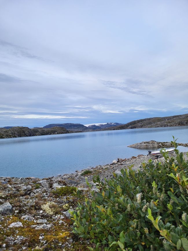 Etiqueta 11 - Bakka en Næroyfjorden sobre Vossevangen y Viking Valley en Gudvangen