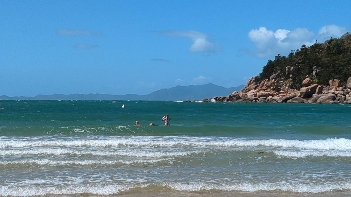Magnetic Island, Koala und Co.