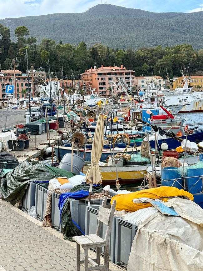 Wie bunte Flecken – die kleinen Fischerboote im Hafen.