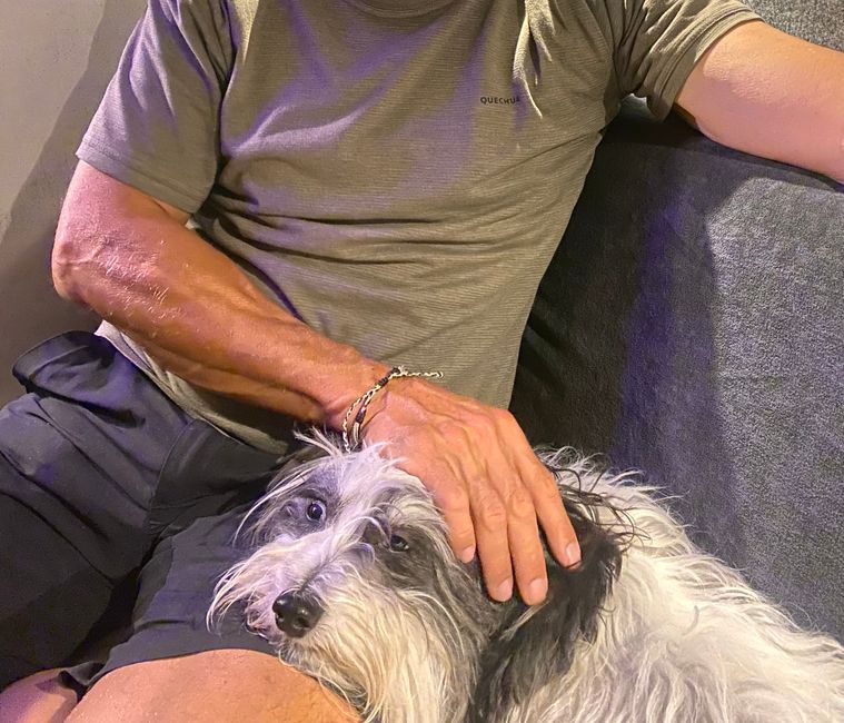Petting a dog (Ramba) is calming and relaxing!