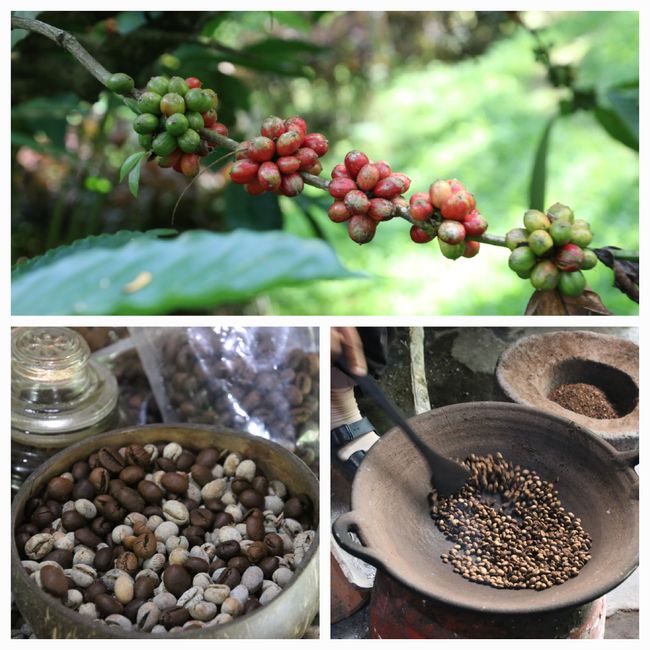 Etiqueta 9: De Java a Bali