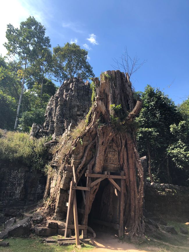 Tempel Ta Som - die andere Seite