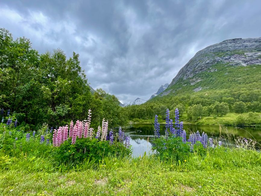 Auf dem Weg zum Grøtfjord