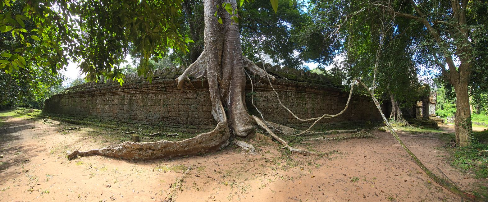 Alles kommt anders... - oder: Die Tempelanlagen von Angkor