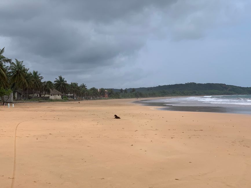 Busua, Cape Three Points, Nzulezu 