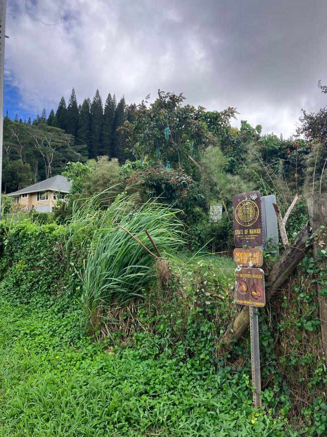 Entry point of NouNou mountain west trail