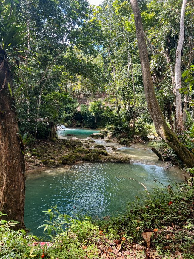 Maravilla azul de Jamaica en Ocho Rios 🩵