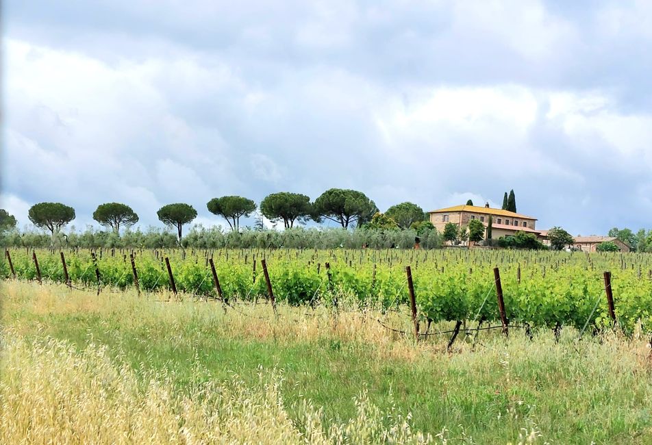 Tour de la Toscana 2026