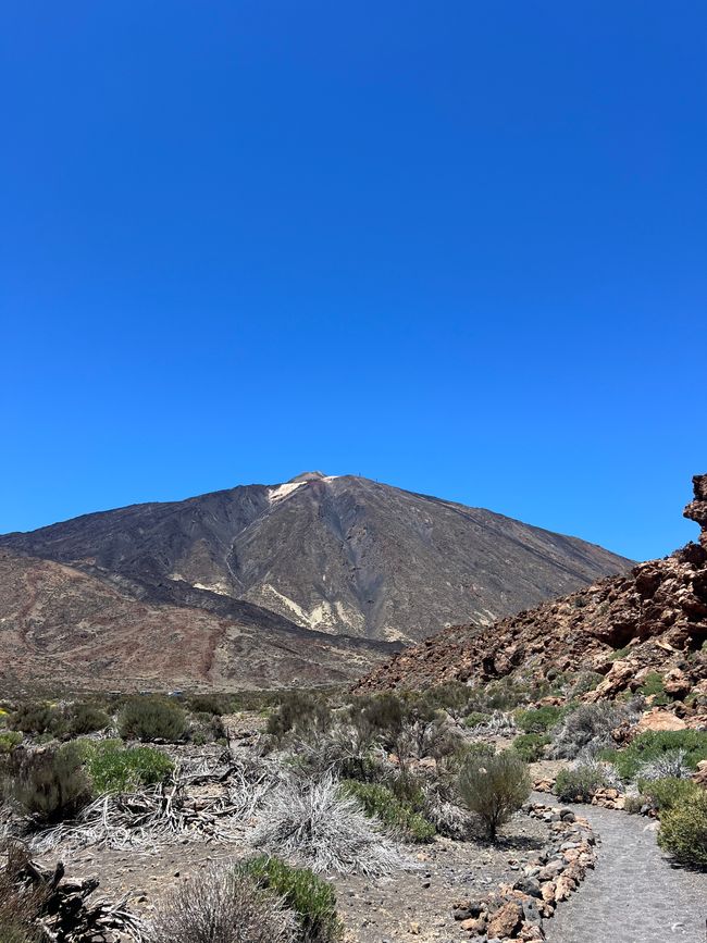 Teide