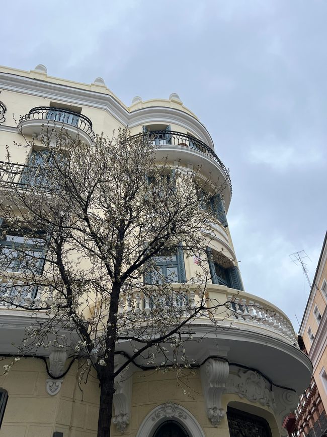 beautiful old city vibe