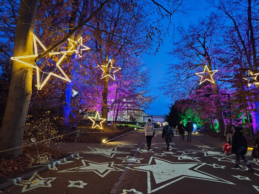 Jardín de Navidad