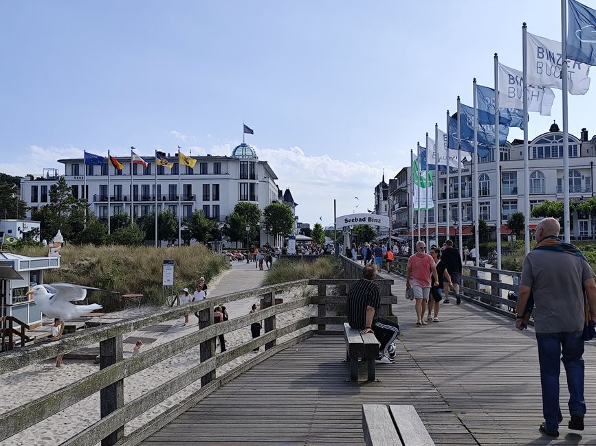 Binz