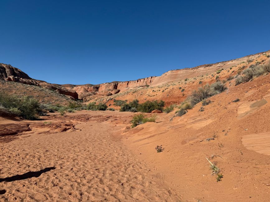 Marche vers l'entrée