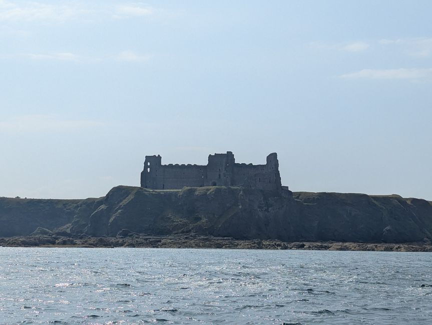 Saturado