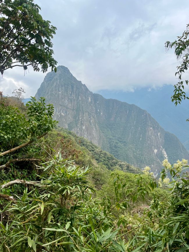 Partida hacia Machu Picchu Día 5
