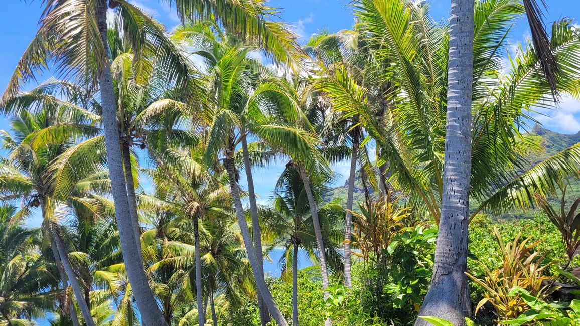 Dedo de Dios y Playa Matira / Bora-Bora