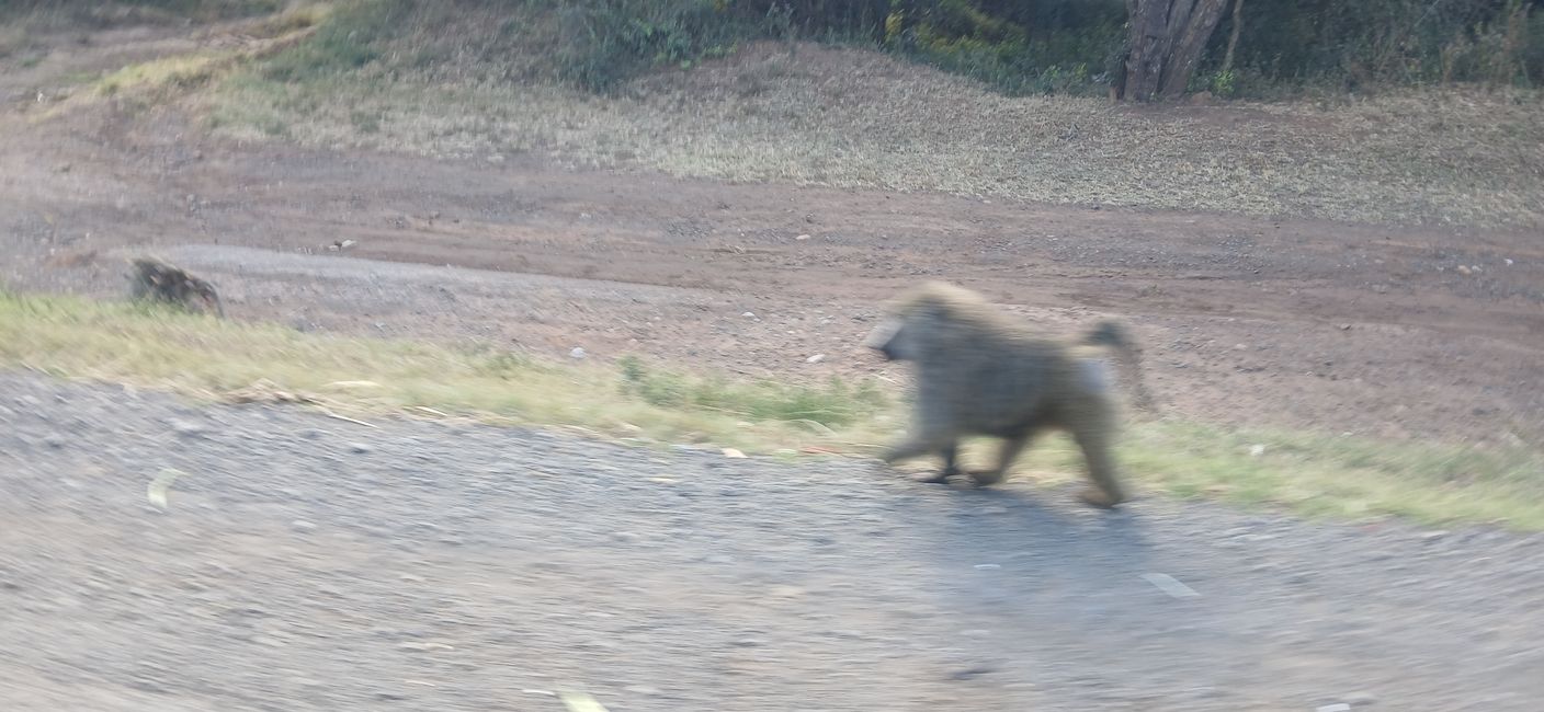 In the Land of the Maasai 2