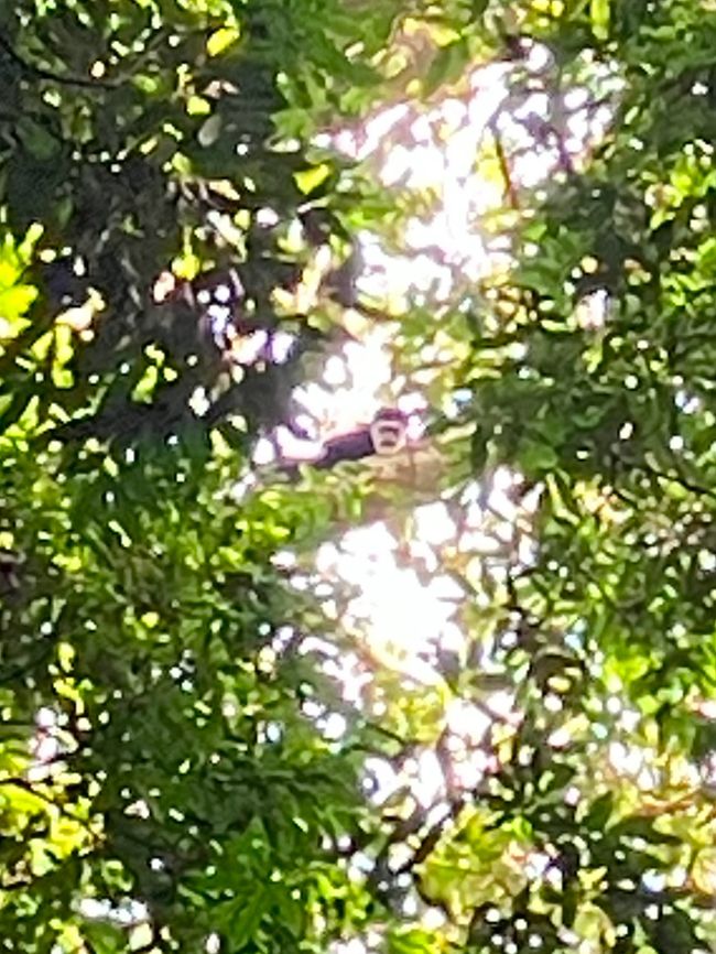 Queen Elizabeth Nationalpark