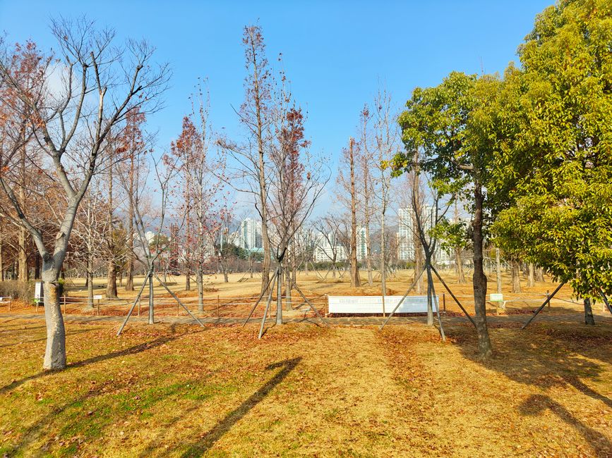 Hello, Korea — Hello, Japan
