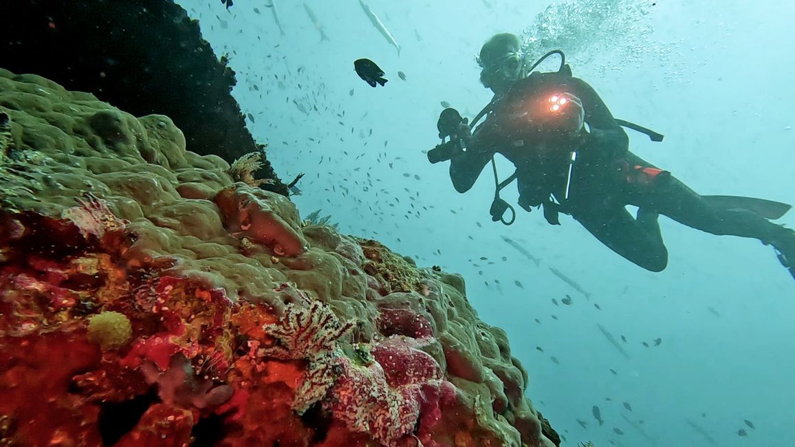 Travis auf Tauchsafari in Raja Ampat