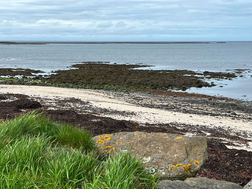 Laugarvatn