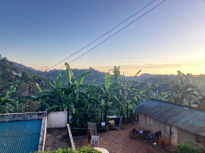 En las Montañas Usambara