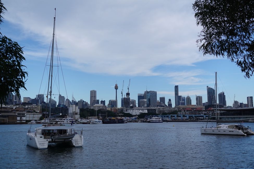 Sydney Downtown von Glebe aus gesehen