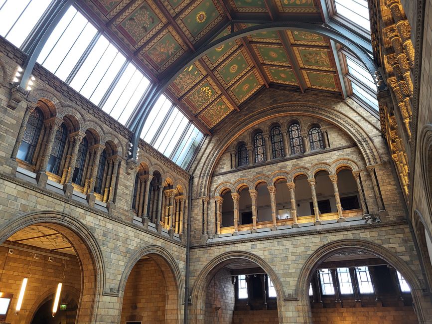 Natural History Museum