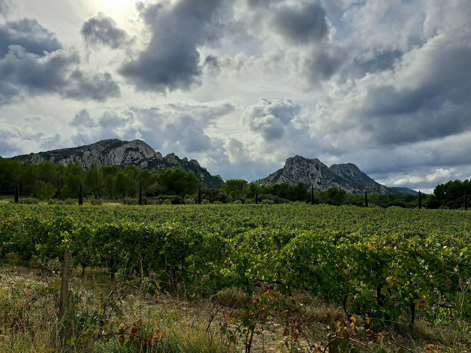 Provansa-Alpe-Azurna obala