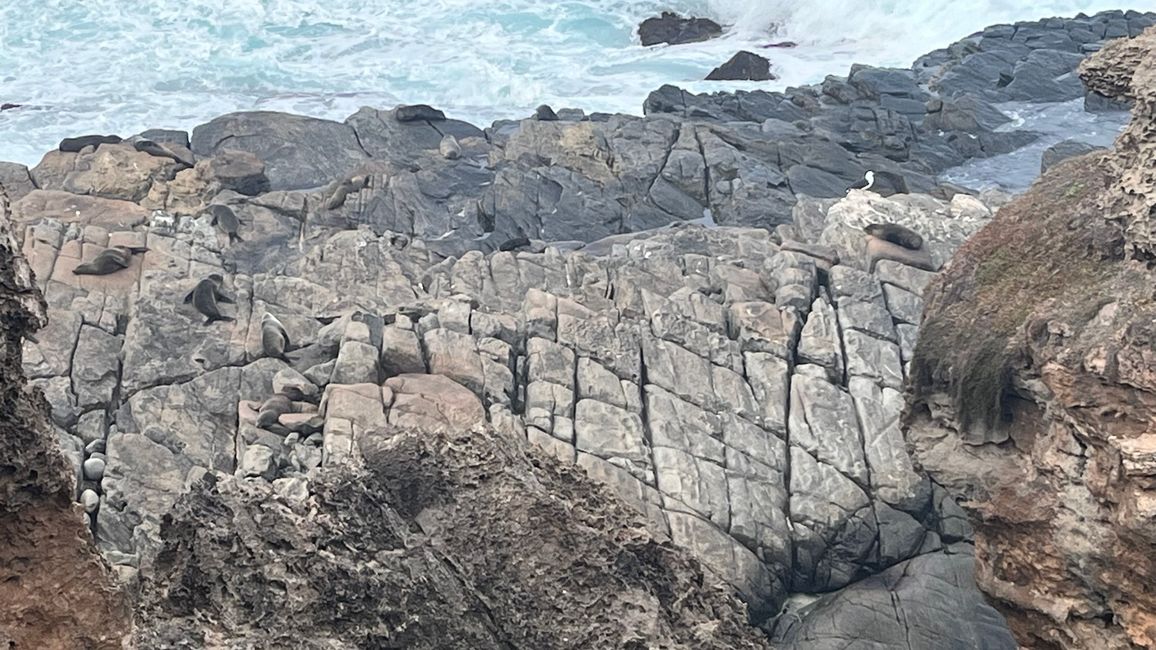 Kangaroo Island