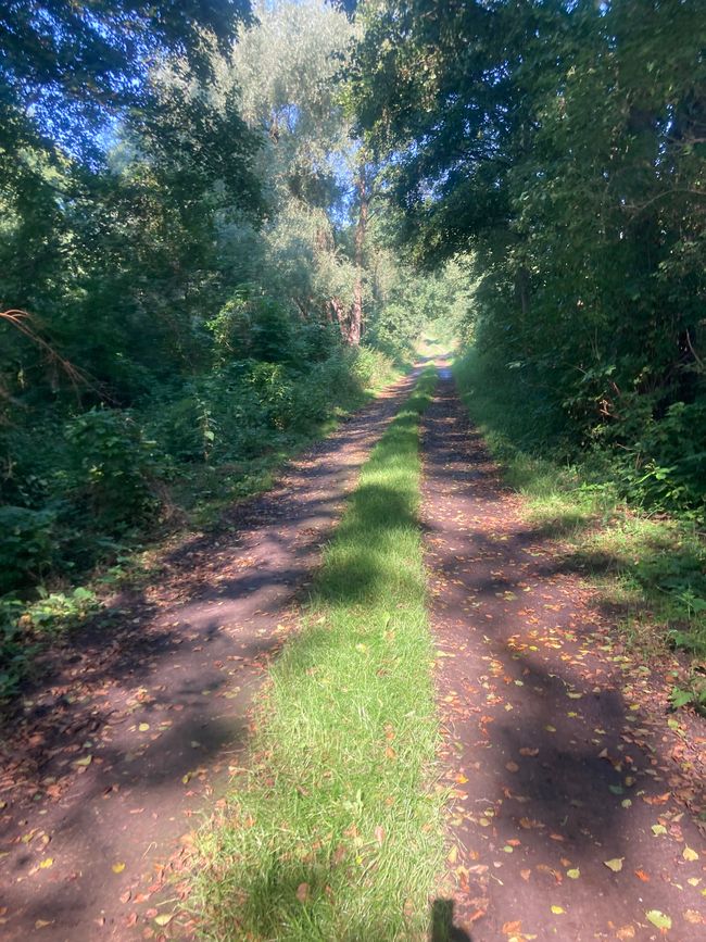 Übernachtung mit einem Fremden
im Pasterhof - Eichhorst-