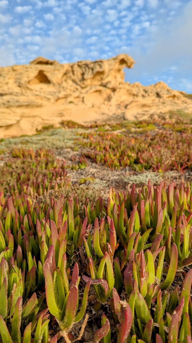 Tag 2: Inseltour auf Porto Santo