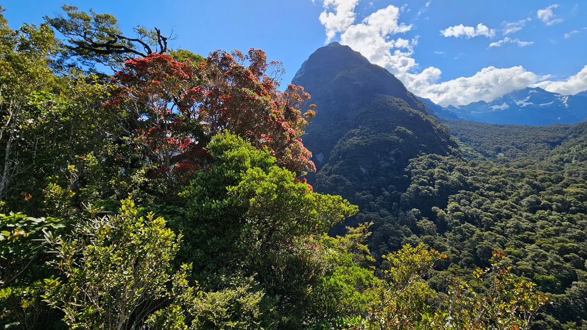 Manapouri - Te Anau - Milford Sound