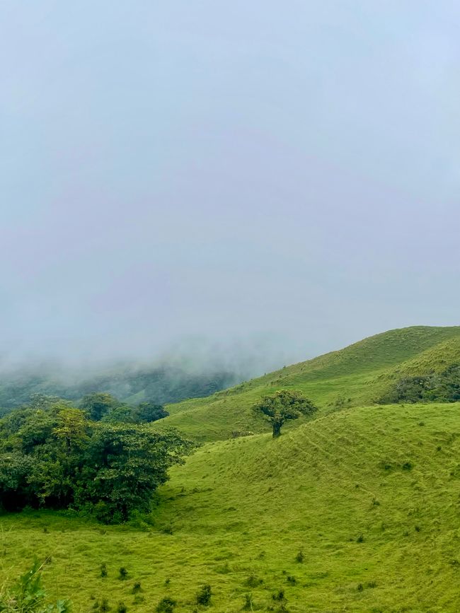 Un voyage en bus à travers les montagnes d'Amérique latine