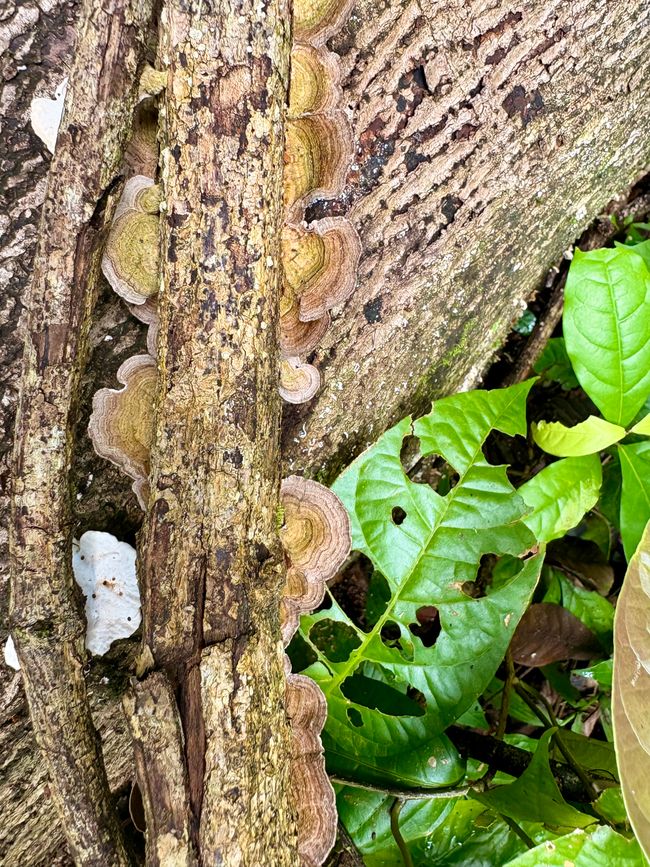 Unterwegs in Costa Rica