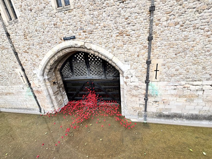 Mohnblumen, als Zeichen für den 2. Weltkrieg 