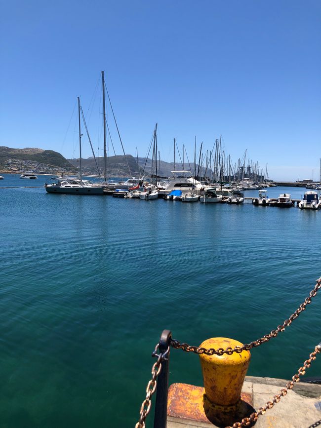 ..... am Yachthafen
