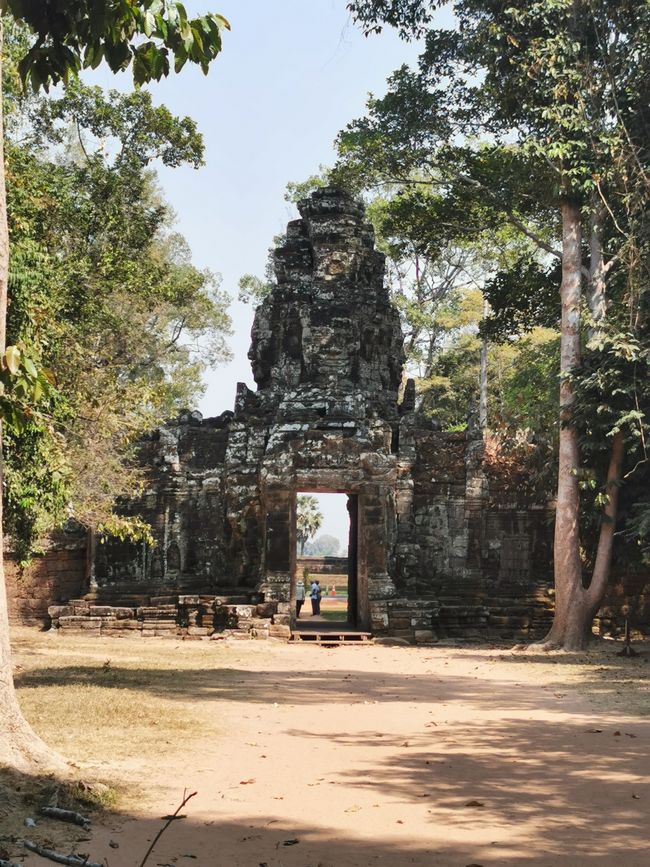 Auf Tempeltour in Siem Reap (Reload)