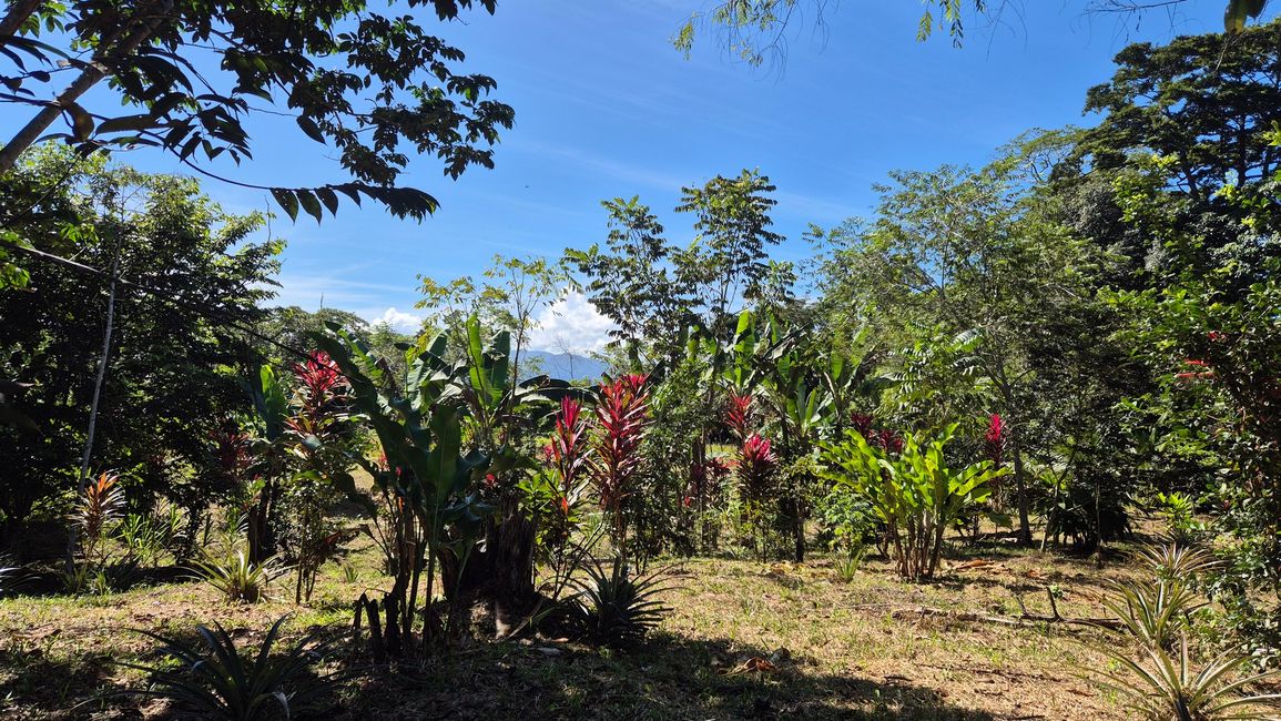 Weiter am Weg zum Dorf