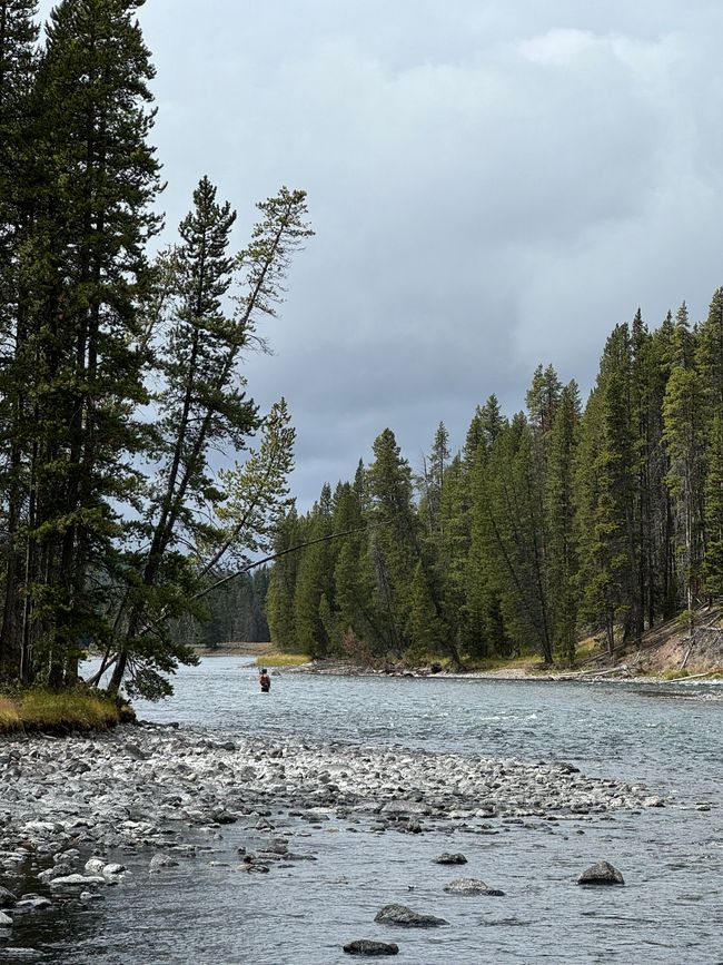 Parque Nacional Yellowstone