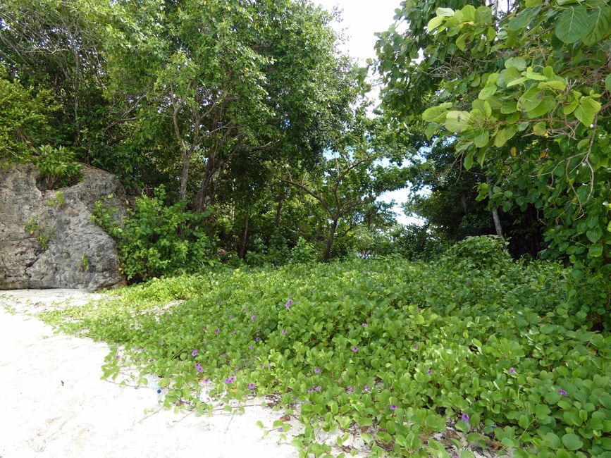 Misool, Westneuguinea, Indonesien, Insel-Ausflug