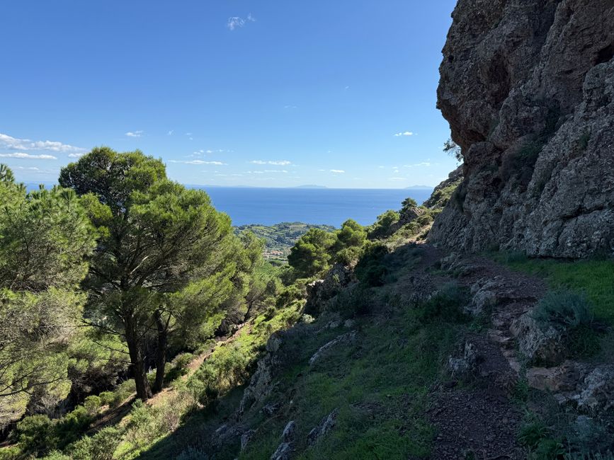 Caminata al Monte Val di Capanne (Elba)