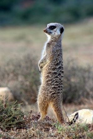 Addo Nationalpark