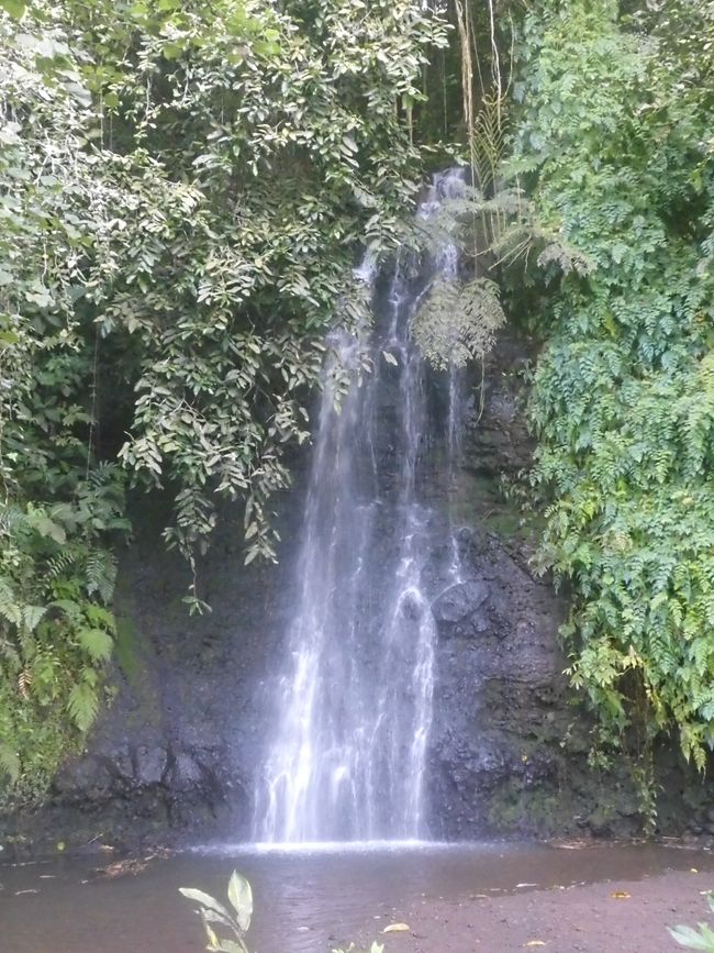 2025-05-09 Maupiti