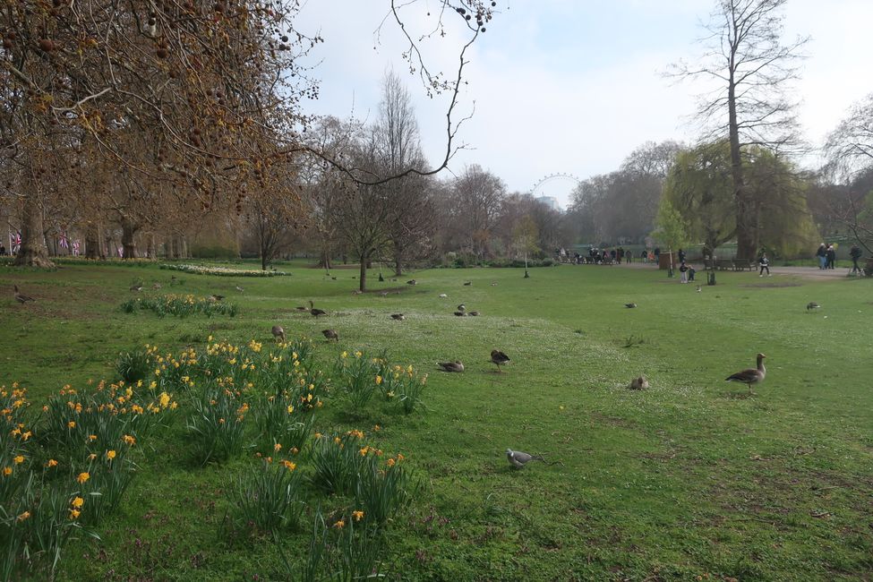 St. James Park