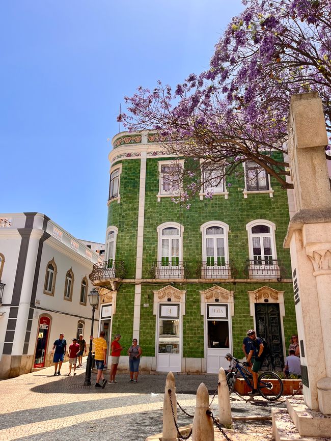 In Portugal gibt es unzählige Häuser mit gefliesten Wänden (Azulejos). Hier in Faro eines der bekanntesten und schönsten. Davor der lila blühende Jacaranda